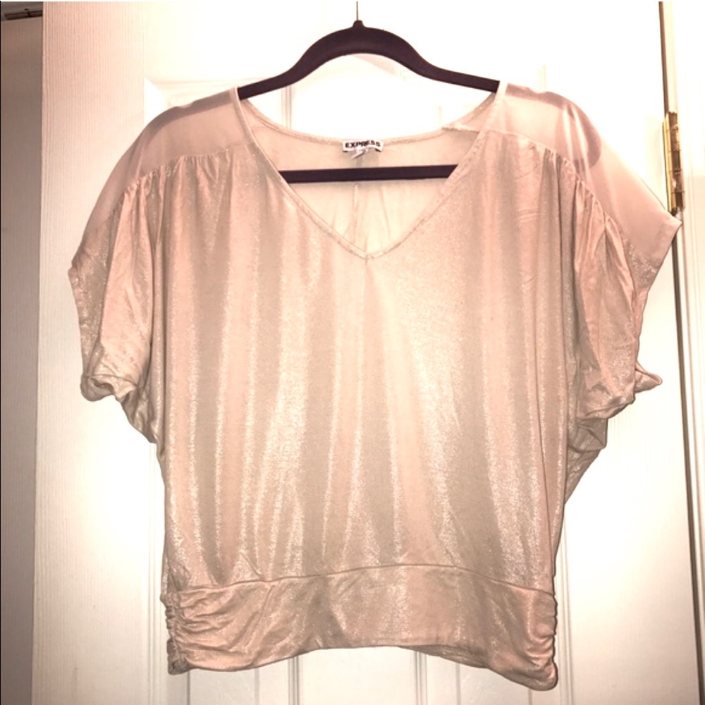 Express Shimmer Mesh Top XS